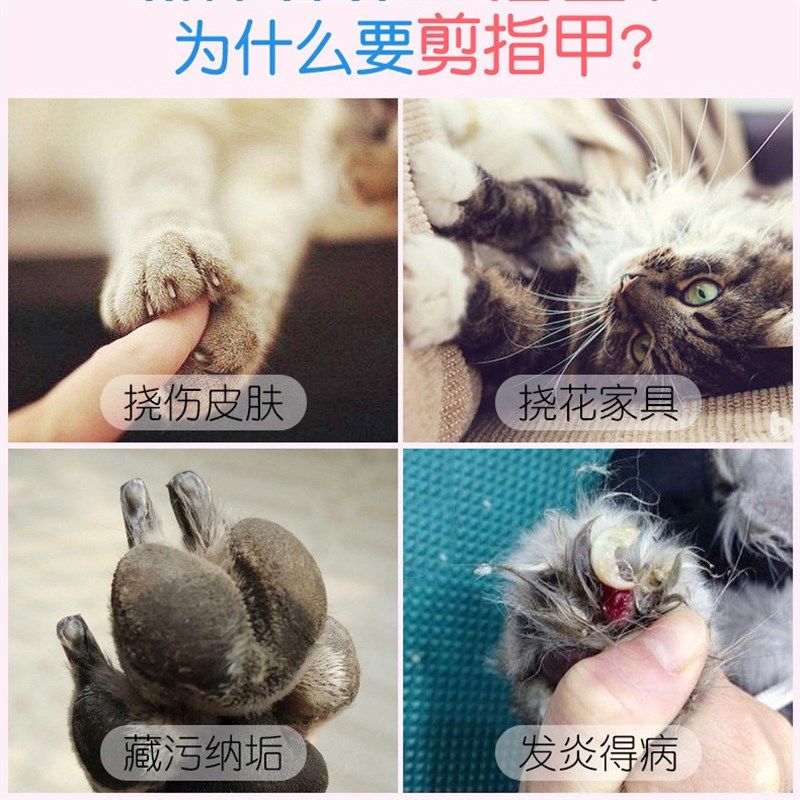 猫指甲剪新手专用狗狗指甲刀小型犬宠物剪指甲神器猫咪指甲钳剪爪,宠物/宠物食品及用品,指甲剪,淘宝优惠券,粉丝福利购,淘宝优惠卷