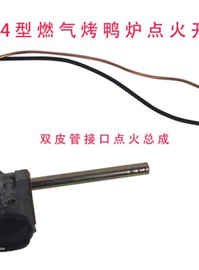 创宇24/850型烤鸭炉配件打火开关商用宇田气碳两用烤禽箱点火总成