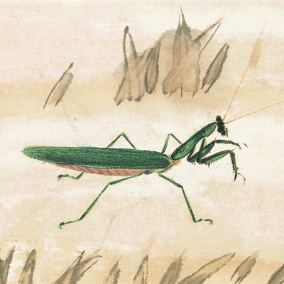 齐白石 海棠秋声图 国画花卉图案立轴挂画客厅卧室装饰画高清复制