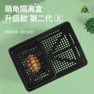 黑色白色小青乌龟发色盒小乌龟苗隔离盒鱼缸黄喉拟水龟幼龟饲养盒