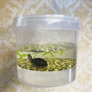 养龟神器加热加温箱奶茶桶发色盒沉淀板龟缸加热棒隔离盒周转箱