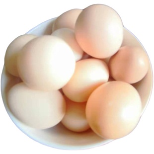 宠物鸡可孵化网红鸡受精种蛋新鲜迷你阳台鸡蛋德系纯白礼服受精卵