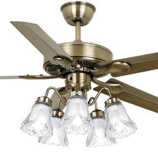 佑家吊扇灯餐厅电扇灯客厅风扇带吊灯卧室书房欧式家用铁叶风扇灯