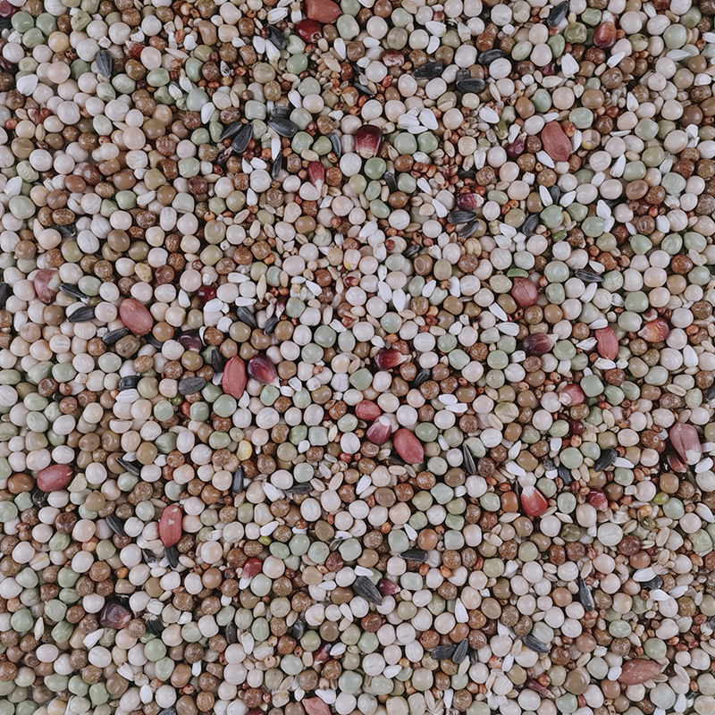 鸽子食粮万家鸟食赛信鸽专用幼鸽2号无玉米营养饲料鸽粮50斤包邮