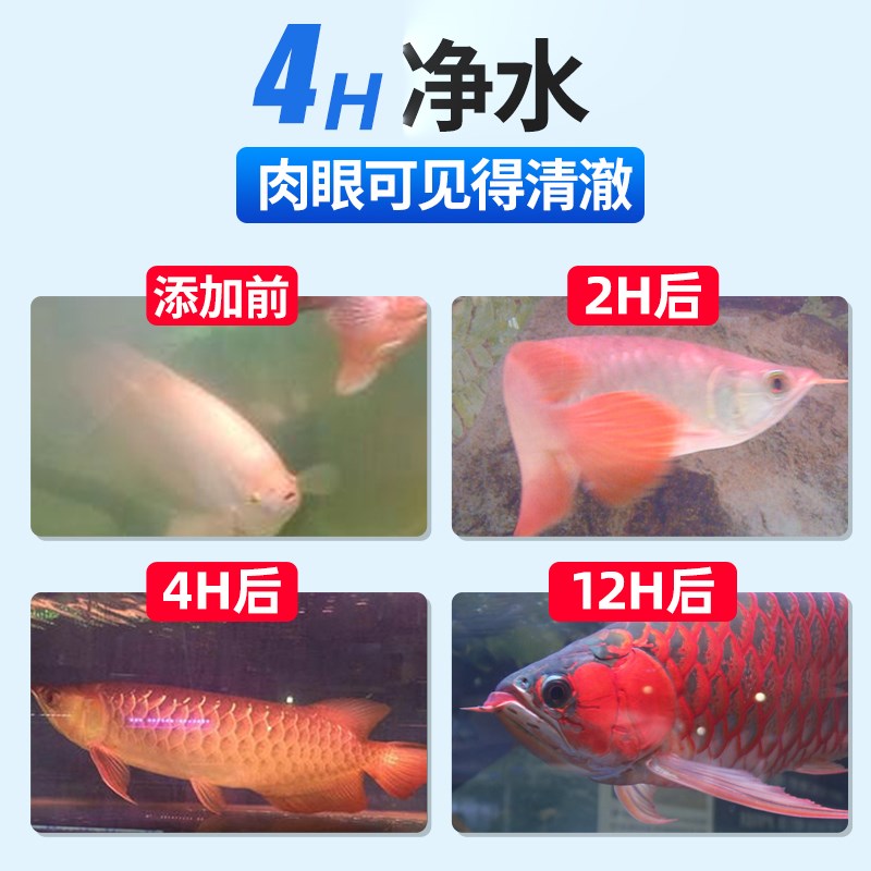 鱼缸净水剂水质稳定净化剂一滴清免换水硝化细菌液净水王养鱼专用