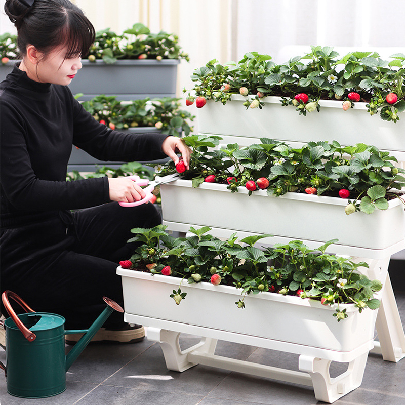 阳台多层种菜架子楼顶种菜专用箱室内家庭蔬菜种植神器长方形花盆