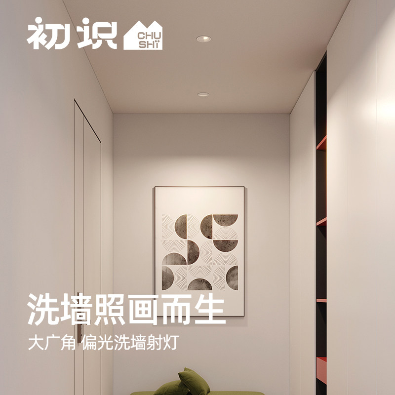 初识照明 偏光洗墙灯嵌入式家用全光谱防眩射灯照画背景墙天花灯