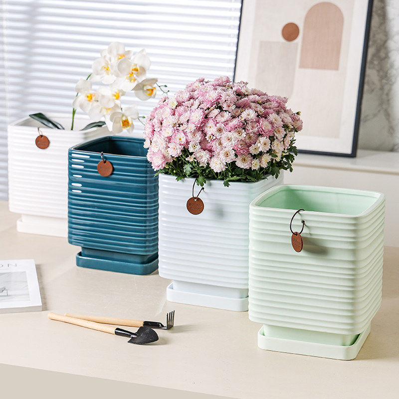 中国风创意兰花专用陶瓷花盆文竹绿植盆栽容器室内桌面器皿带托盘,鲜花速递/花卉仿真/绿植园艺,花盆,淘宝优惠券,粉丝福利购,淘宝优惠卷