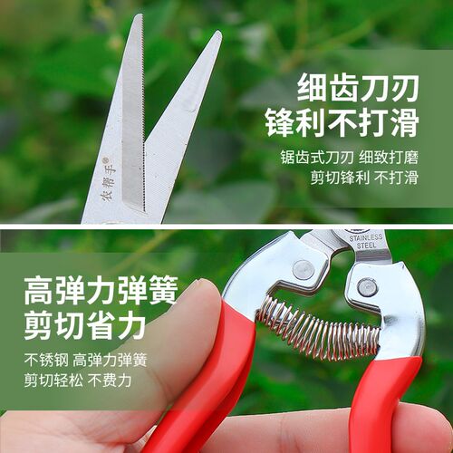 农帮手采果剪稀果剪葡萄疏花剪子修花修枝剪柑橘花椒专用摘果剪刀
