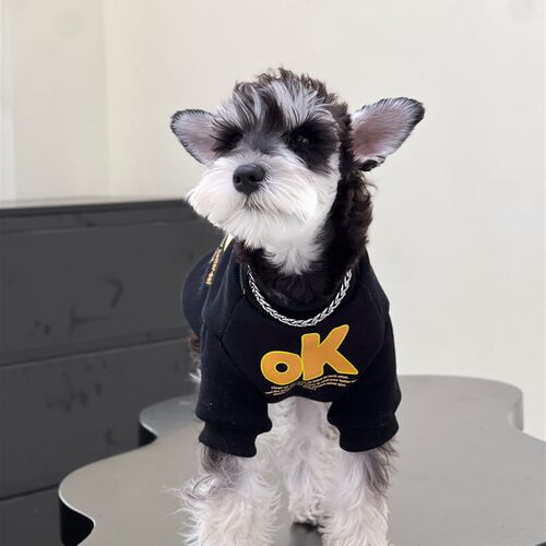 宠物猫咪狗狗秋冬j衣服 黑色OK圆领纯棉保暖卫衣 中小大型犬衣服