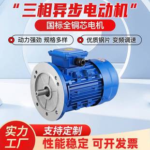 15W 0.75 7.5 5.5 2.2 1.1 YE3三相异步电机380V0.55 YE2