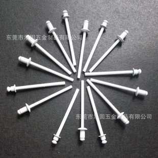 源头厂家直供开口型白色抽芯铆钉白色抽芯拉钉白色拉铆钉