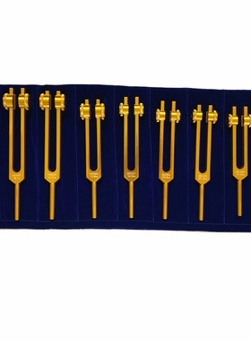 八支音叉组126.22HZ 136.1 141.27 172.06 210.42 194.18金色银色