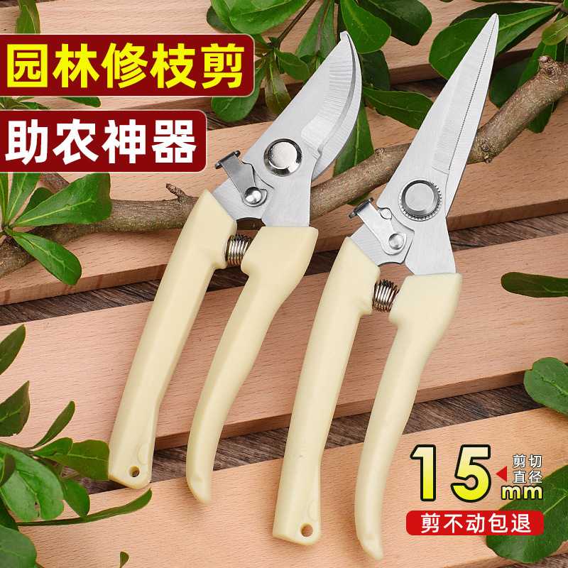 专用不锈钢园艺修枝剪刀 果树园林花艺剪子 修花剪枝摘果剪子工具图片
