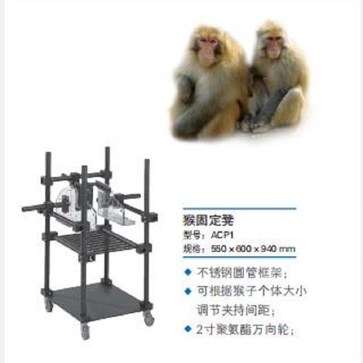猴固定凳 型号:JV222-ACP1 库号：M77020