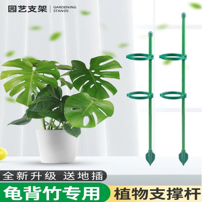 花架子蝴蝶兰支架绣球支撑杆金钱树龟背竹月季爬藤植物固定防倒伏