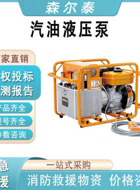 双回路汽油机泵HPE-700双向驱动泵数字显示控制泵大功率液压泵