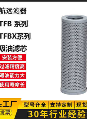 TFBX-45/10 20 30 80 液压滤芯 过滤器滤芯