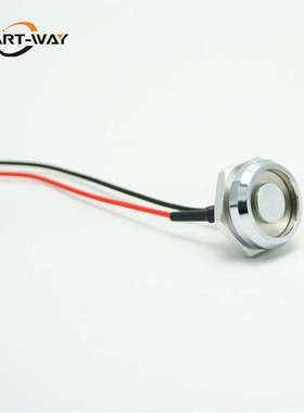 TM1990卡读头连接头探头 兼容达拉斯DS9092 IB卡 锌合金现货