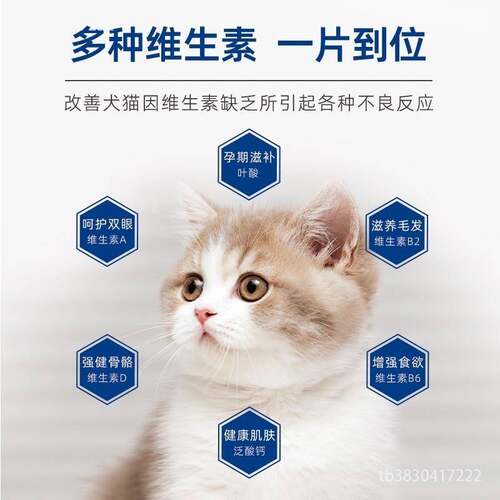 唯特医生宠物维生素犬猫咪狗狗复合多种营养补充剂美毛维b族维特
