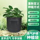 无纺布种植袋营养钵花盆多肉育苗盆黑色美植袋毛毡植树袋加厚大号
