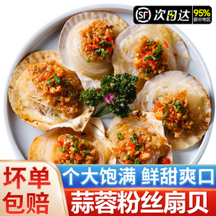 蒜蓉粉丝扇贝肉海鲜鲜活冷冻水产扇贝粉丝贝开袋即食烧烤商用批发