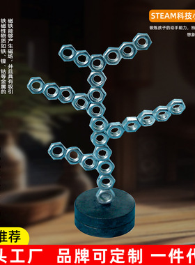 百变小树儿童科学实验stem磁铁物理diy小制作吸铁石玩具