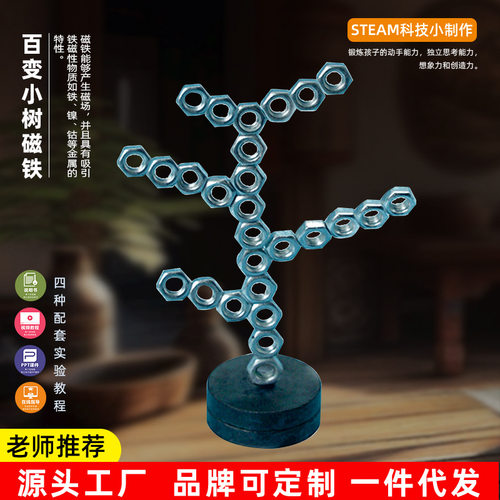 百变小树儿童科学实验stem磁铁物理diy小制作吸铁石玩具