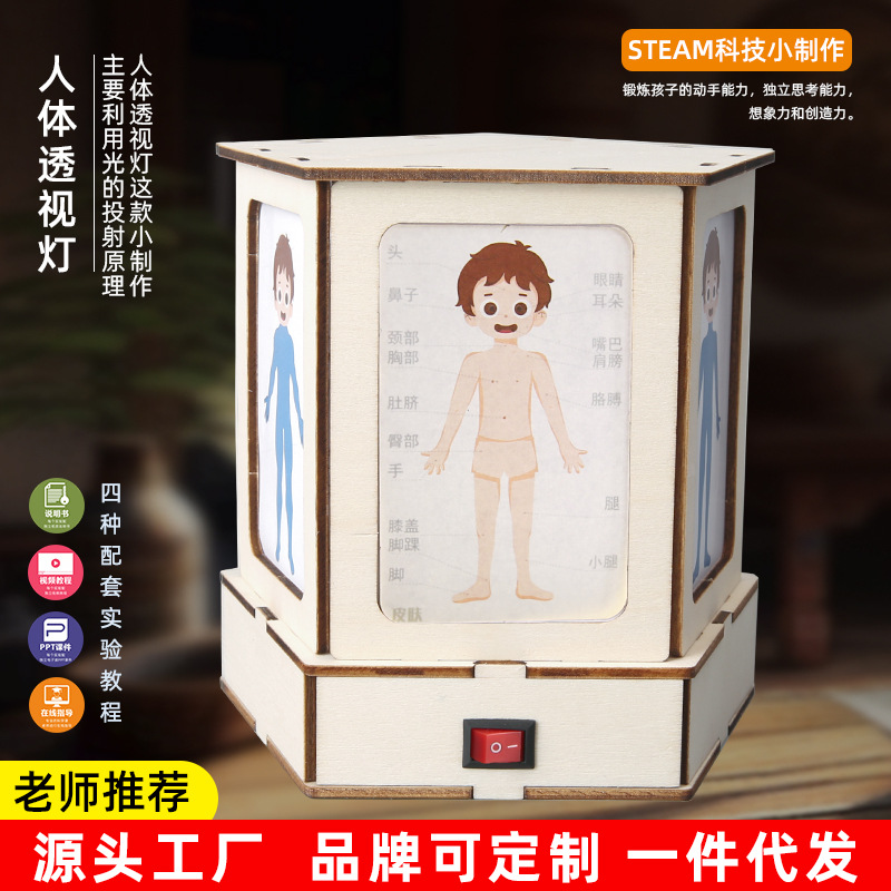 拼装玩具人体结构灯生物科学实验器材认识人体器官科技小制作