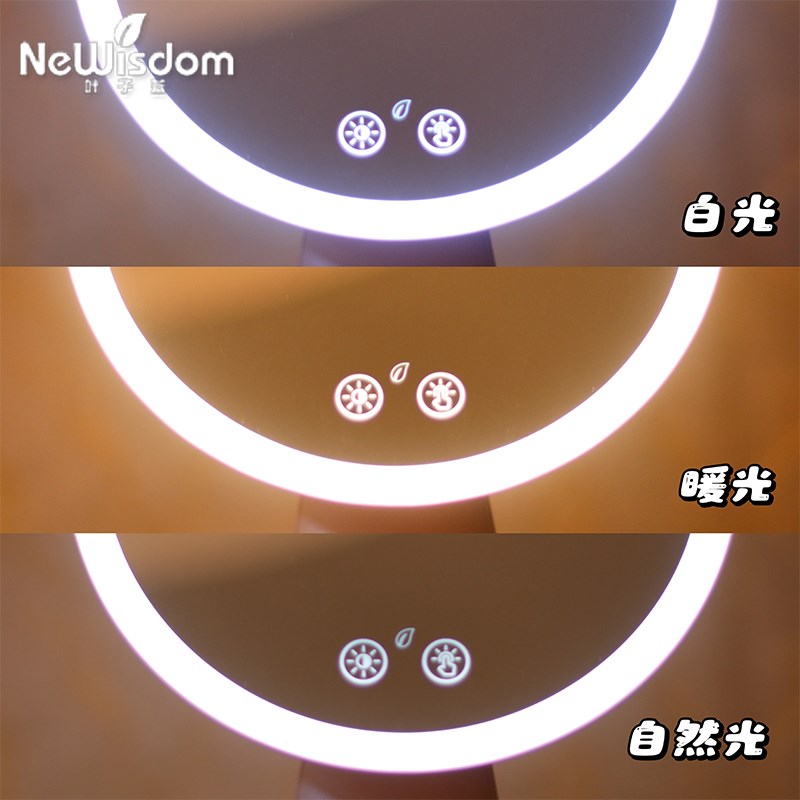 叶子蓝玫瑰一号LED化妆镜送老婆送女友送妈妈送情人实用生日礼物