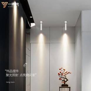 酒吧清吧餐厅餐桌氛围商铺吸顶轨道灯 一束光聚光射灯W小角度明装