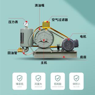 HC251S 30S/301S 40S/401S 50S/501S 60S/601S 80S回转式鼓风机HZ