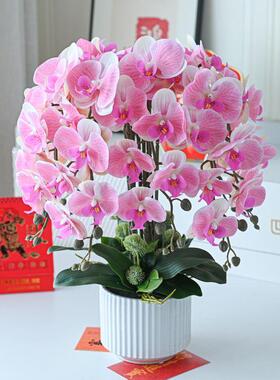 手感pu蝴蝶兰仿真花艺高端摆花客厅摆设花装饰假花摆件盆栽电视柜