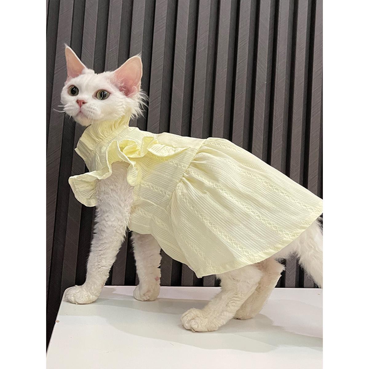 超薄透气夏季背心裙任发财无毛猫衣服斯芬克斯猫德文衣服