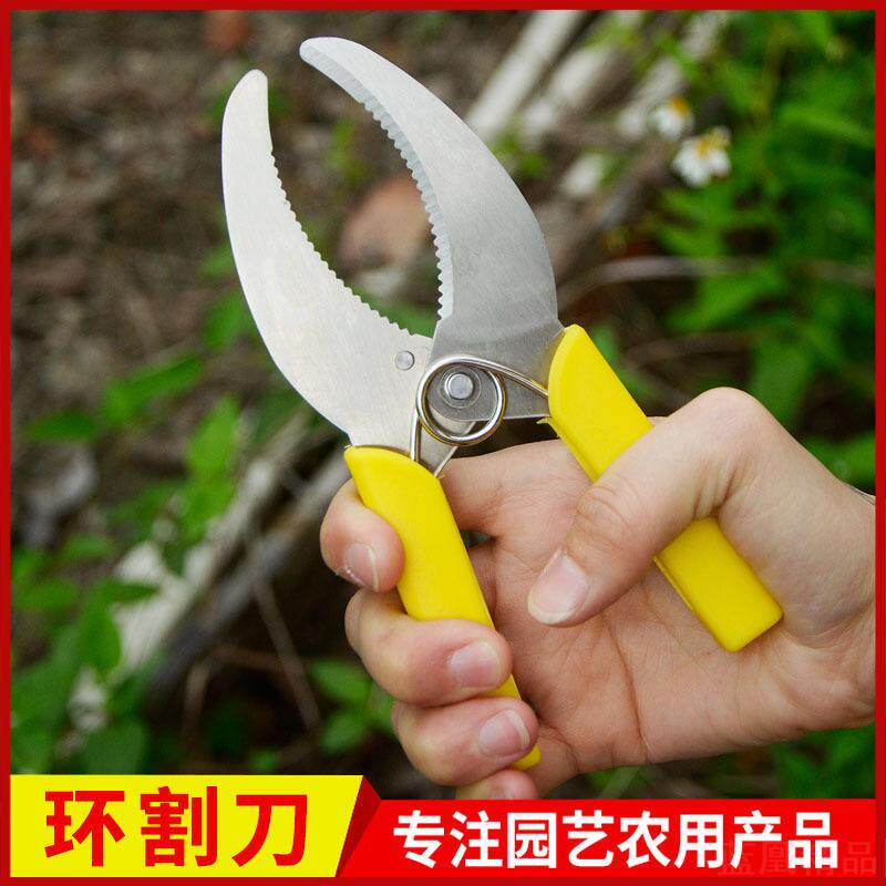 园艺环割环切专用葡萄果树剪