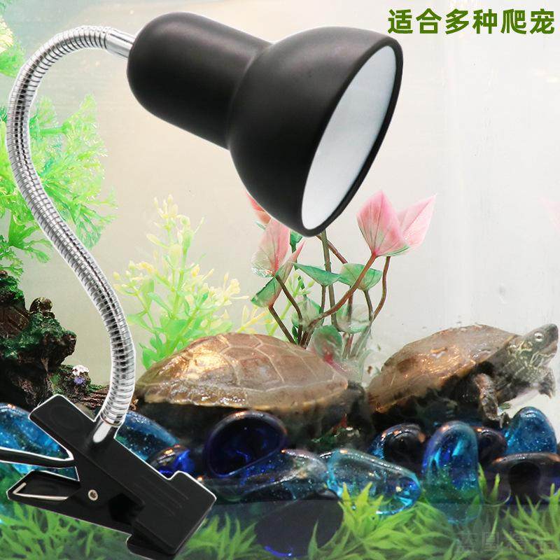 乌龟晒背灯爬宠类全光谱紫外线加热保温补钙太阳灯灯龟灯夹灯,宠物/宠物食品及用品,爬宠灯具,淘宝优惠券,粉丝福利购,淘宝优惠卷