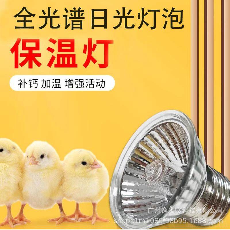 芦丁鸡乌龟晒背灯爬虫保温灯太阳灯乌龟晒背灯补钙灯爬宠灯具,宠物/宠物食品及用品,爬宠灯具,淘宝优惠券,粉丝福利购,淘宝优惠卷