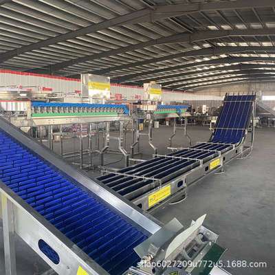 牡蛎自动重量分选机 三倍体生蚝清洗分拣机 鸡爪鸡翅称重分级机