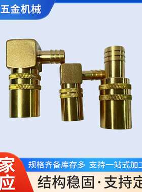 DME MDH JS500 JS516 JS506 SK119 SK219 N16模具快速接头 水咀