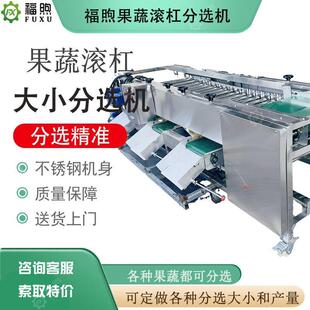 高效圣女果分选机土豆红薯荔枝分拣机天麻分级机滚杠水果机械