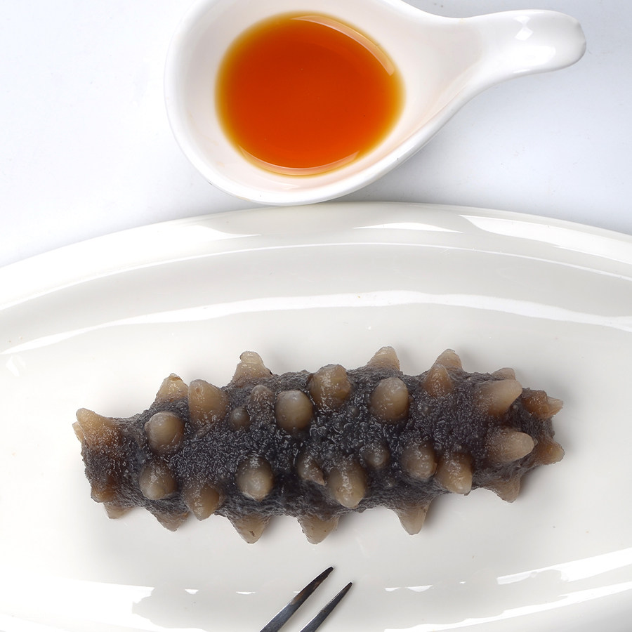 贵参堂大连即食鲜活辽参海参