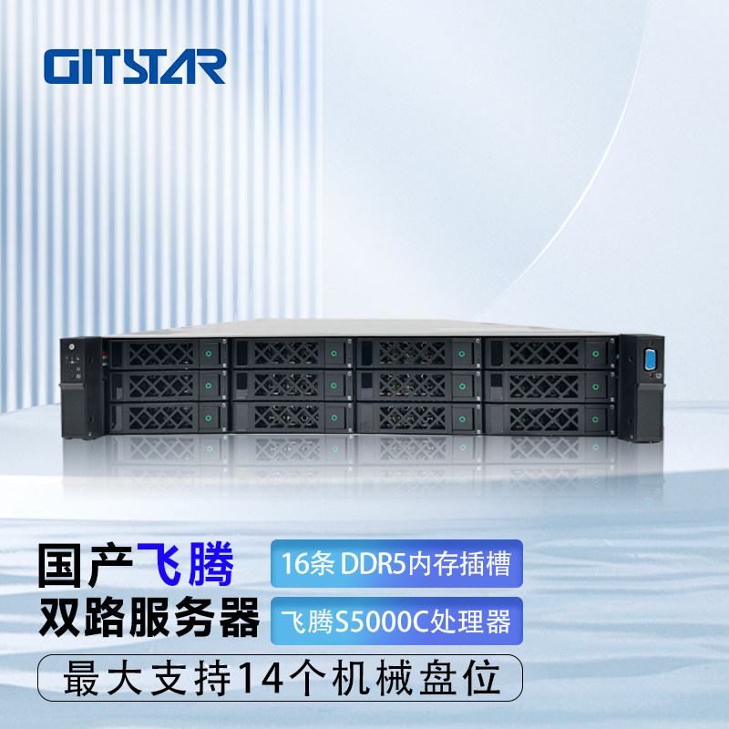 国产飞腾S5000C/64核双路服务器