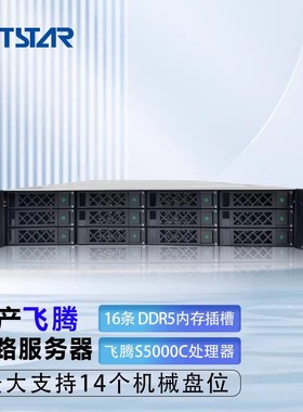 国产飞腾S5000C机架式2U双路服务器 GSC-2000-12   GME-2002