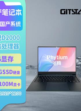 GITSTAR 集特 国产飞腾D2000办公轻薄笔记本电脑GEC-2001