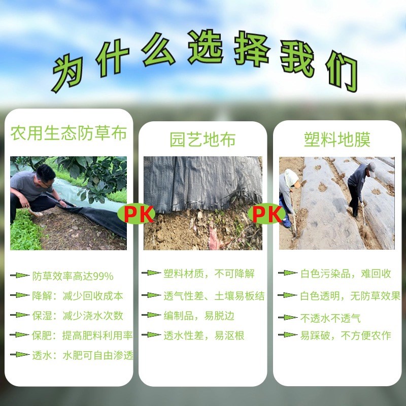 果树防草布除草布工厂火龙w果遮草布透气保湿底布农用种植地膜