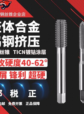 NOIT整体硬质合金丝锥 钨钢挤压丝攻 M2 M3 M4 M5 M6 M8 M10 M12