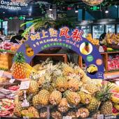 新 乐趣桩水果拱门展示标志Kt板创意定制水果店氛围装 饰标志定制