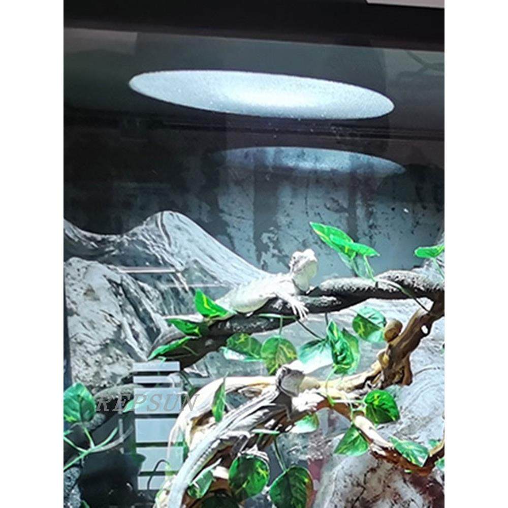 全光谱金卤灯UVB用变压器/HID整流器35W50W70W100W150W电子镇流器,五金/工具,气体放电变流器/整流器,淘宝优惠券,粉丝福利购,淘宝优惠卷