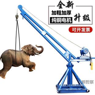 家用修小型提升机V220电动葫芦装 室机外吊运 吊机起重机建筑CFU吊