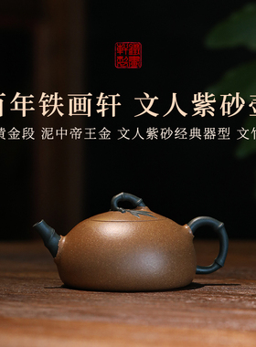 稀雀 百年紫砂铁画轩出品  黄金段 文竹紫砂壶 130cc